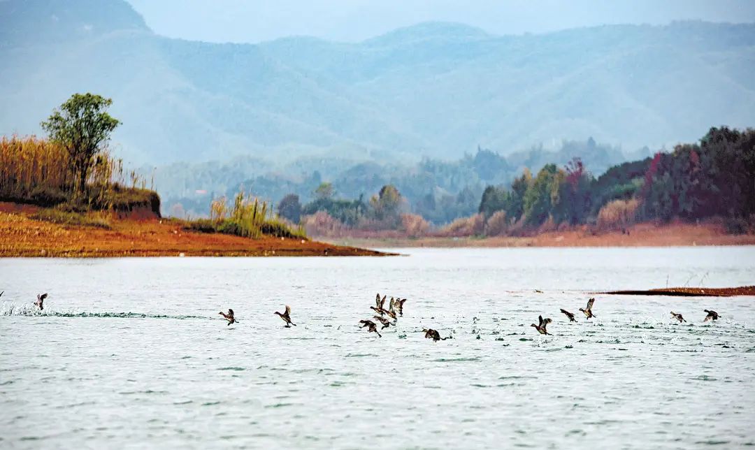 這個(gè)事情不做，砂石礦山企業(yè)不再批新證！